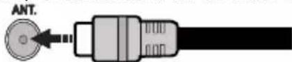 CONTINENTAL EDISON CELED32HD24B3 - Antenna Connection - 1