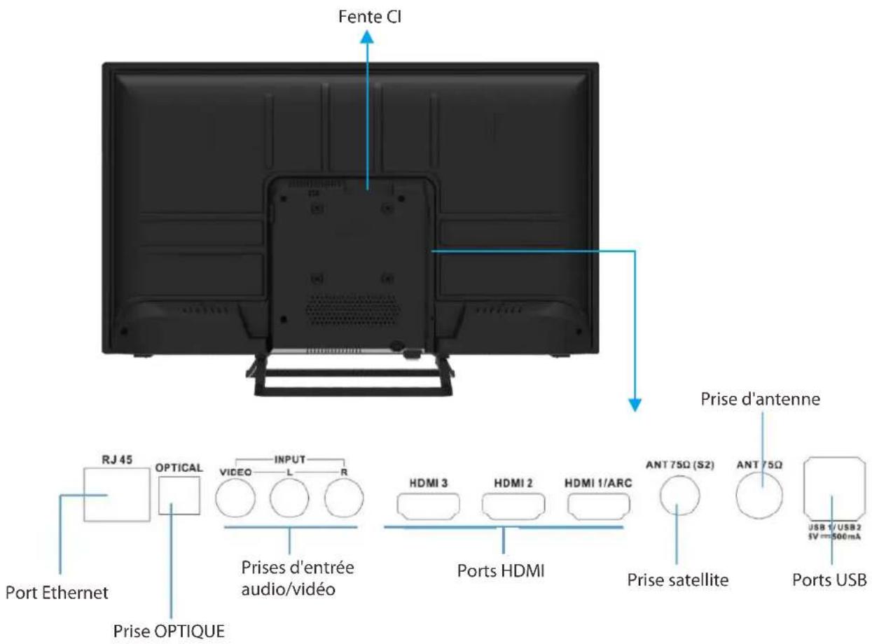 Fente CI Port Ethernet RJ 45 OPTICAL VIDEO INPUT L R Prise d'entrée audio/vidéo Prise OPTIQUE Prises d'entrée HDMI 3 HDMI 2 HDMI 1/ARC Prise satellite Prise d'antenne ANT 75Ω (S2) ANT 75Ω Ports HDMI Ports USB USB 1/USB 2 5V = 500mA