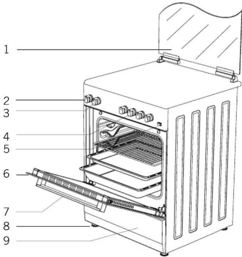 GERMANIA BA6GX - INTRODUCTION OF THE APPLIANCE - 6