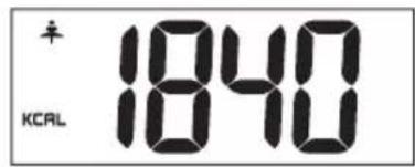 TERRAILLON Tracker - To weigh and measure - 6