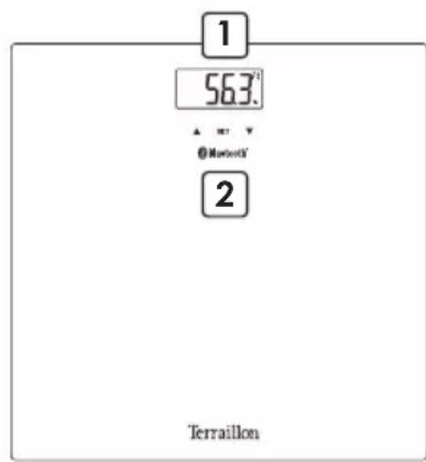 TERRAILLON WEBCOACH SMART - PANORAMICA - 1
