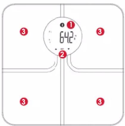 TERRAILLON R-LINK - PRODUKTÜBERSICHT - 1