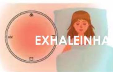 TERRAILLON ALOHA - Cardiac coherence - 3