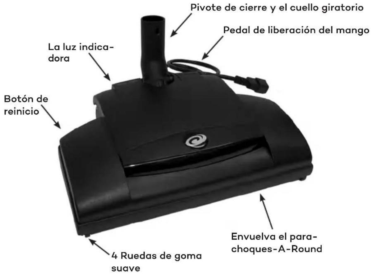 ProTeam GoFit 3 PH - Descripción de la pieza - Top - 1