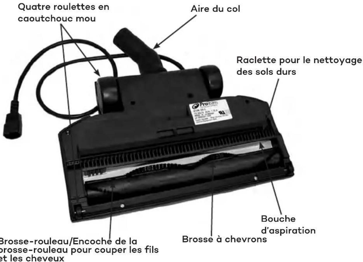 ProTeam GoFit 6 PH - Description des pièces – Bas - 1