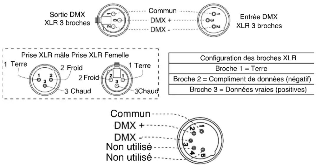 Sortie DMX XLR 3 broches Commun DMX + DMX - Entrée DMX XLR 3 broches Prise XLR mâle Prise XLR Femelle 1 Terre 2 Froid 2 Froid 1 Terre 3 Chaud 3 Chaud Configuration des broches XLR Broche 1 = Terre Broche 2 = Compliment de données (négatif) Broche 3 = Données vraies (positives) Commun DMX + DMX - Non utilisé Non utilisé