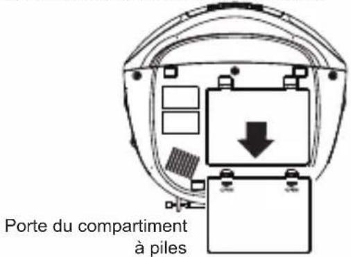 Porte du compartiment à piles