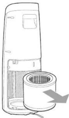 Guardian AC4625 - REMOVE AND REPLACE FILTER - 2