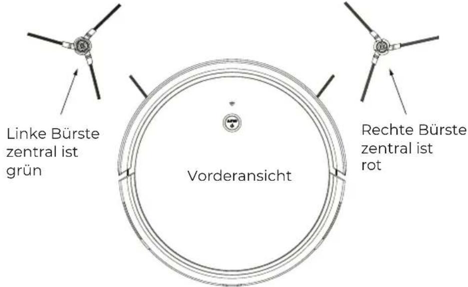 Linke Bürste zentral ist grün Vorderansicht Rechte Bürste zentral ist rot