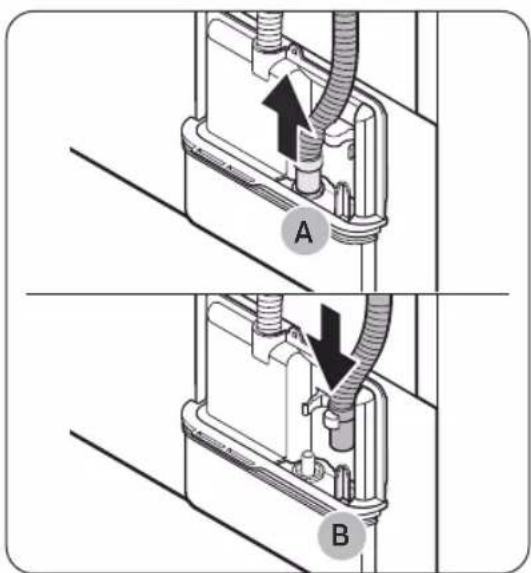 A B