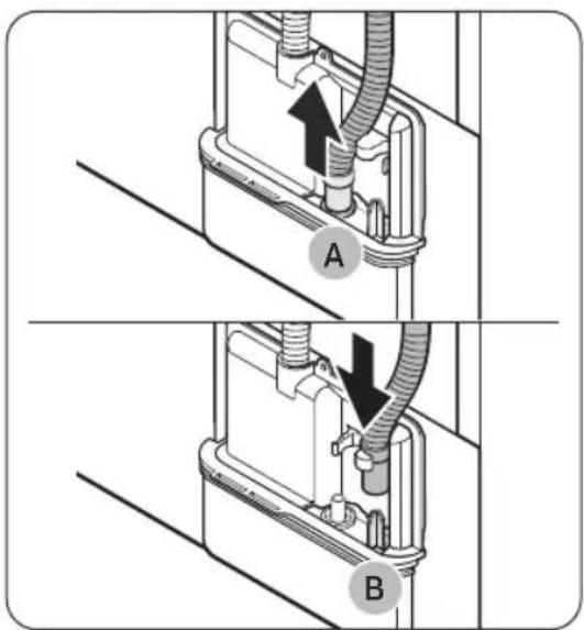 A B