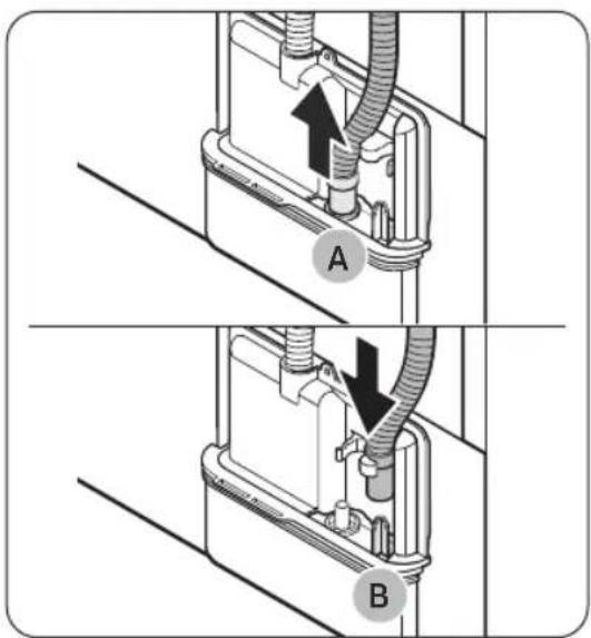 A B
