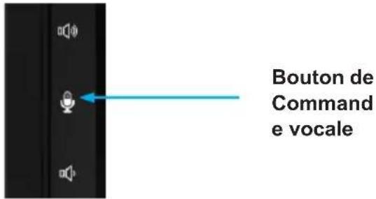 Bouton de Command e vocale