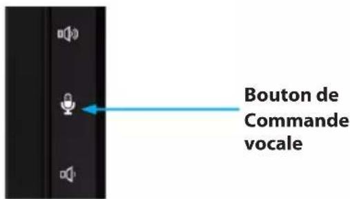 Bouton de Commande vocale