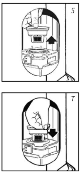 S T