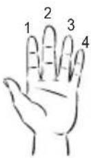 LEXIBOOK K2000 - Uwagi: - 1