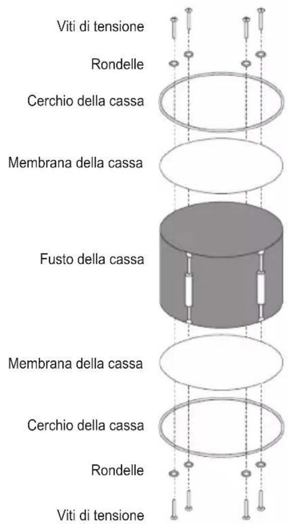 Viti di tensione Rondelle Cerchio della cassa Membrana della cassa Fusto della cassa Membrana della cassa Cerchio della cassa Rondelle Viti di tensione