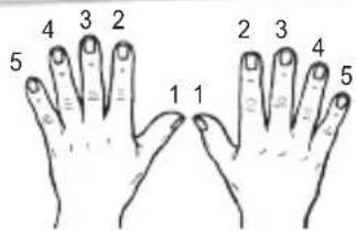 LEXIBOOK K710 - Nummerieren der Finger - 1