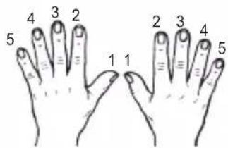 LEXIBOOK K720VI - Fingering - 1