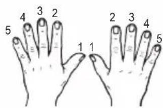 LEXIBOOK K720VI - Nummerieren der Finger - 1