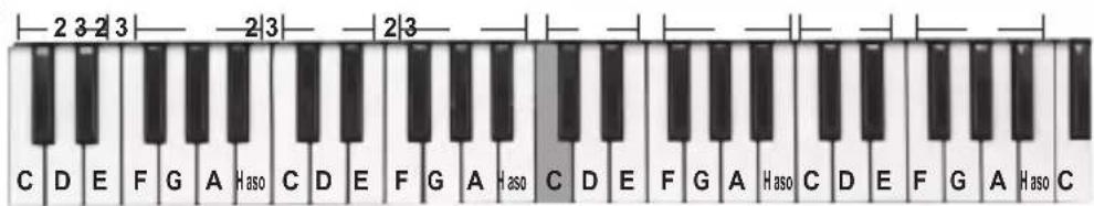 LEXIBOOK K720VI - Schema des Klaviers - 1
