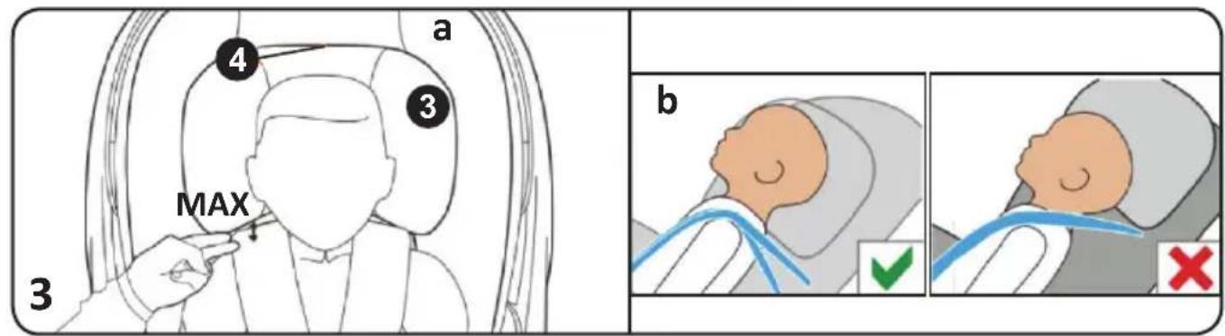 Chipolino Amore - UN Regulation No129/03 - 3