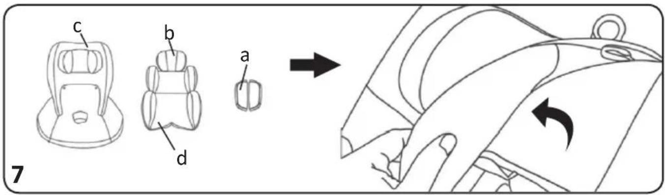 Chipolino Amore - UN Regulation No129/03 - 7