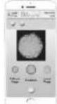 Scala SC 2161 - Informazioni sullo smaltimento - 2