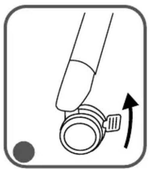 Lionelo Leonie Plus - 22