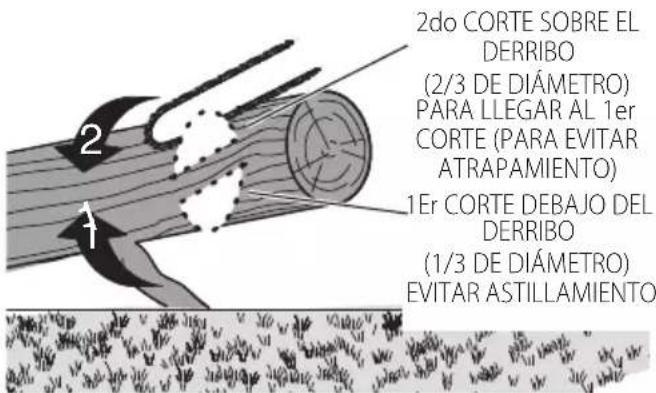 Craftsman CMCCS630 - Derribo - 3