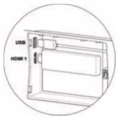 AWOL Vision LTV-3500 - DIAGRAMA DEL PRODUCTO - 5