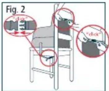 Fig. 2 -dex -dex