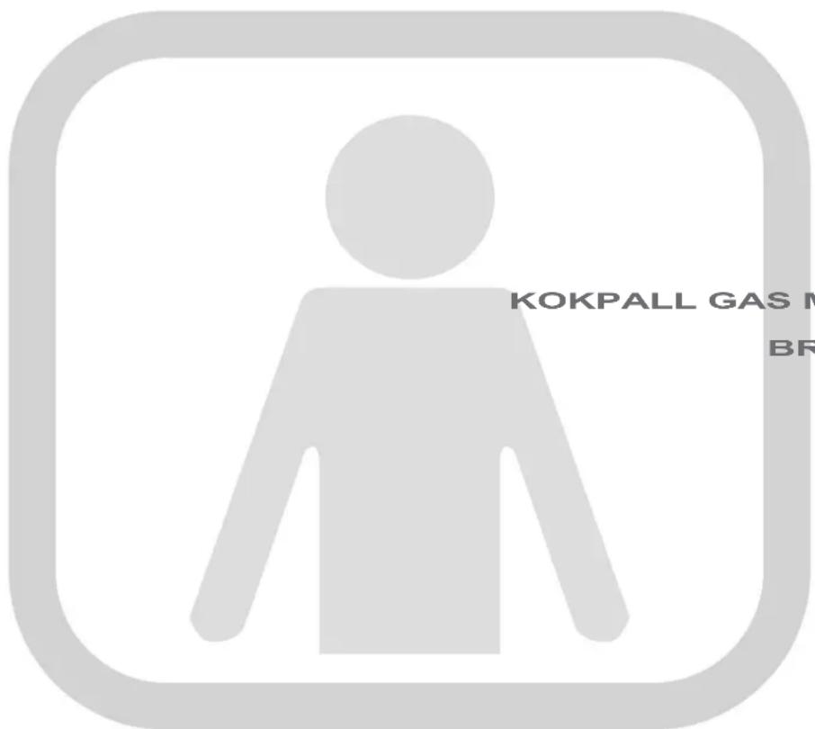 MBM FP01V - GENERELL SIKKERHETSINFORMASJON - 1