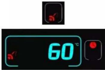 MBM MC201G - Core temperature button - 1