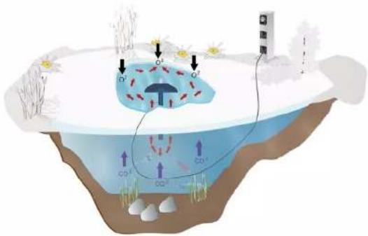 Fiap PondHeat Active - 1