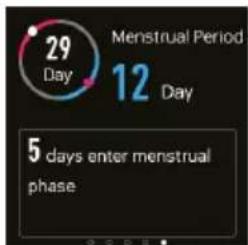 29 Day Menstrual Period 12 Day 5 days enter menstrual phase