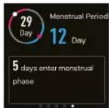 29 Day Menstrual Period 12 Day 5 days enter menstrual phase