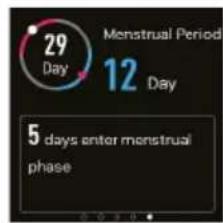 29 Day 12 Day Menstrual Period 5 days enter menstrual phase