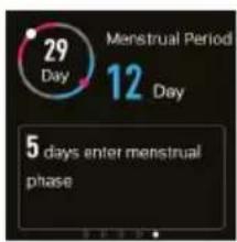 29 Day 12 Day 5 days enter menstrual phase