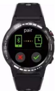pair