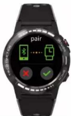 pair