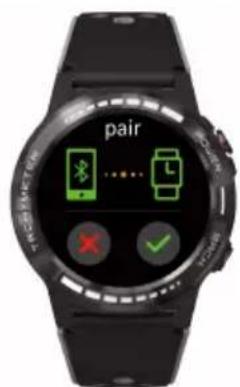 pair