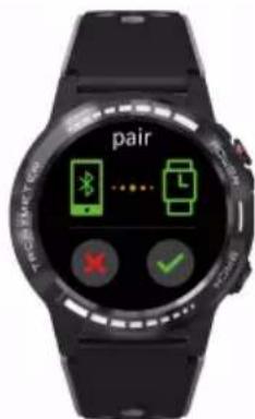 pair