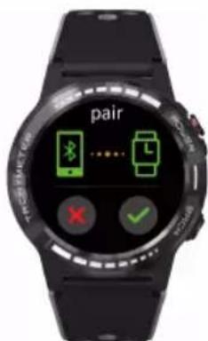 pair