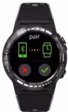 pair