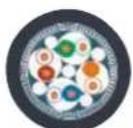 Phoenix Contact ETH-2S - Câble Ethernet – Type 94F - 42