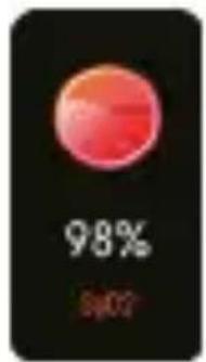 98% Sv02