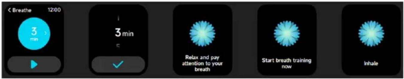 < Breathe 12:00 3 min 3 min 5 ✓ Relax and pay attention to your breath Start breath training now Inhale
