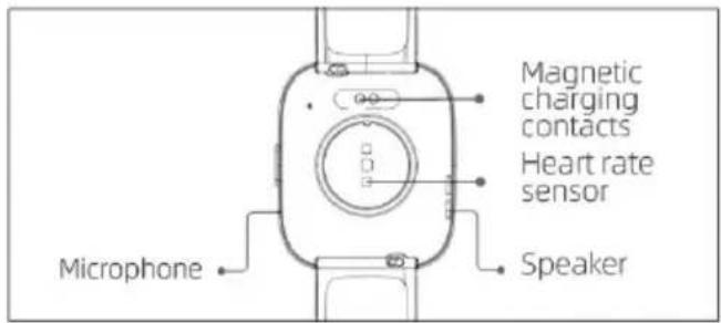 Magnetic charging contacts Heart rate sensor Microphone Speaker