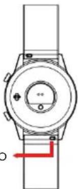 Prixton SWB26T - Cambiare il cinturino - 1